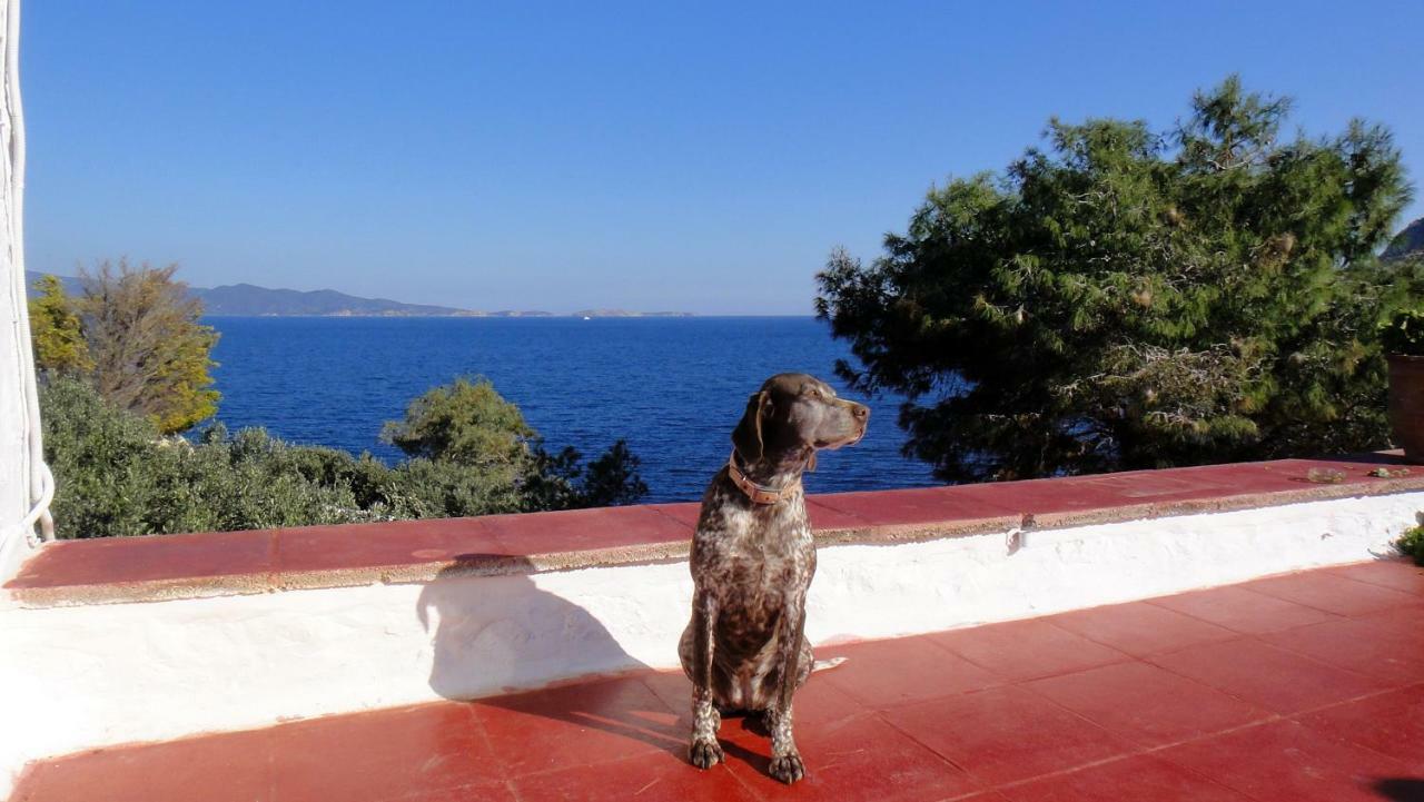 Tramontana Villa İdra Dış mekan fotoğraf